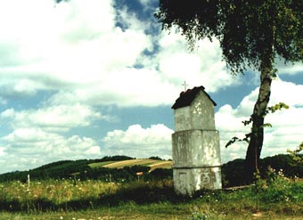 Bratkwka fotografia