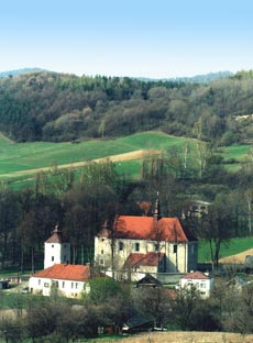czki Jagielloskie koci