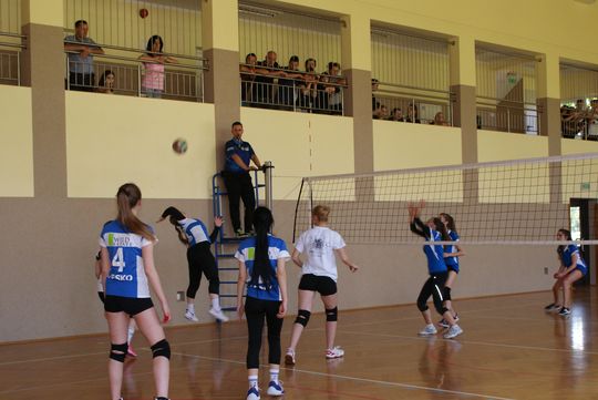 champion Bratkwka