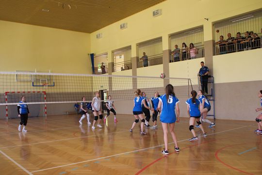 champion Bratkwka